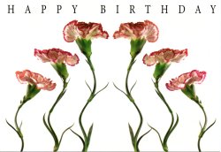 画像1: ポストカード（カテゴリ未分類）1枚176円（税込み）