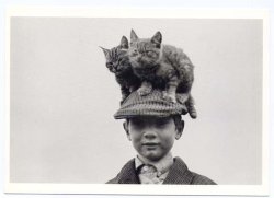 画像1: ポストカード　モノクロ　少年と彼の猫 