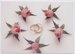 画像1: グリィーティング・カード/Wedding 