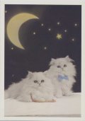 ポストカード　動物-Moon Cats-