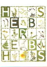 画像: ポストカード　Herbs