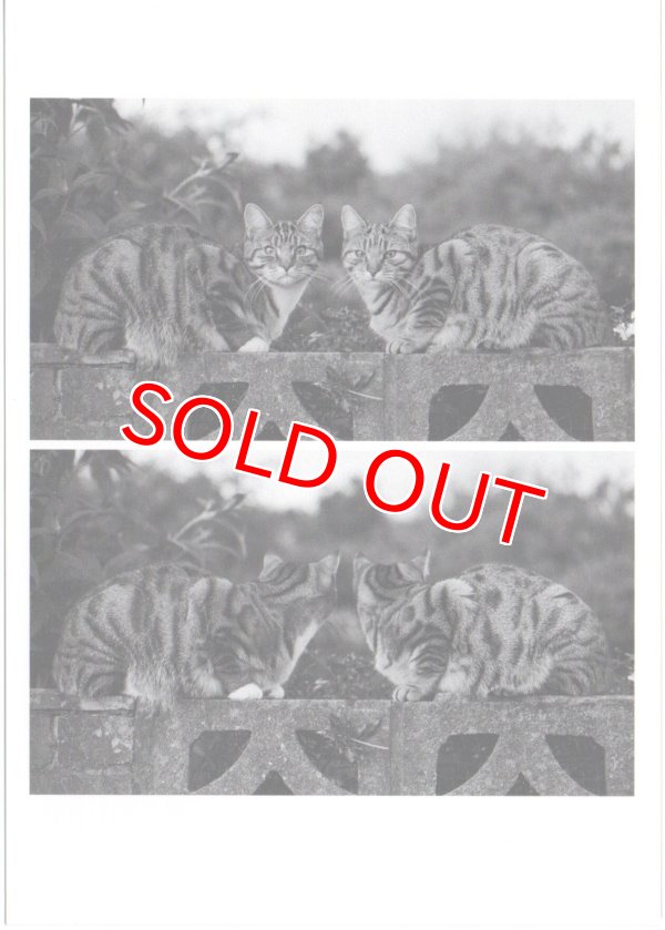 画像1: ポストカード（カテゴリ未分類）1枚176円（税込み）