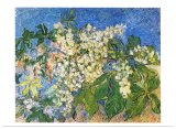 画像: ポストカード　ゴッホのChestnutの開花