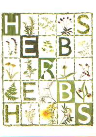 画像1: ポストカード　Herbs