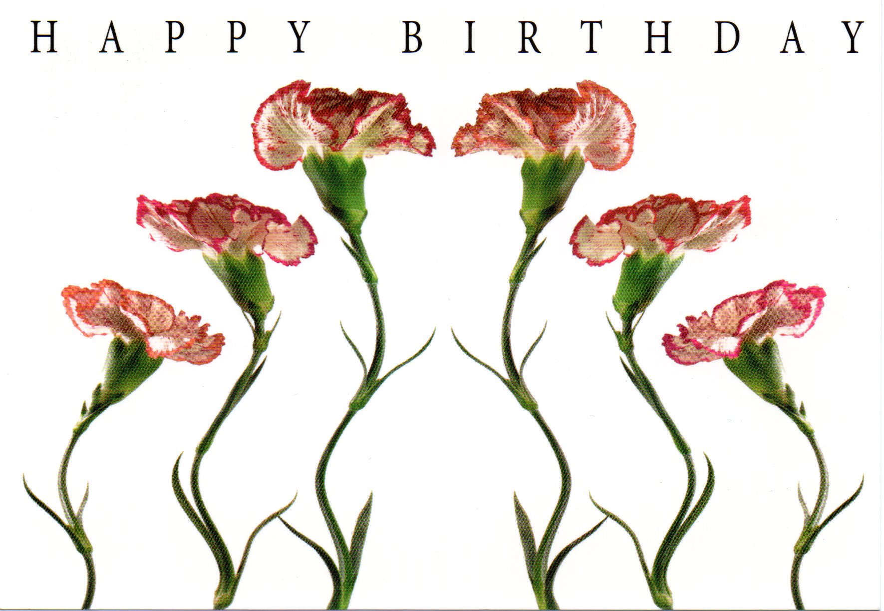 画像1: ポストカード（カテゴリ未分類）1枚176円（税込み）