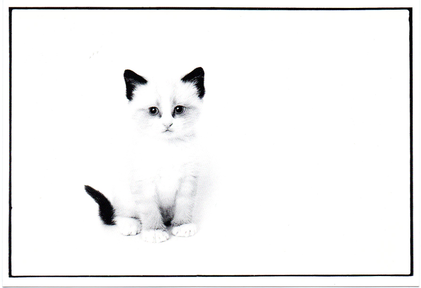 画像1: ポストカード（カテゴリ未分類）1枚176円（税込み）